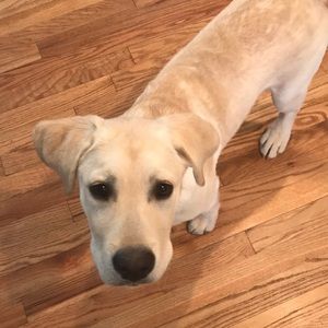 Meet your Posher, Caroline